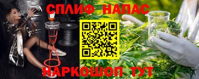 молекула духа Ставрополь