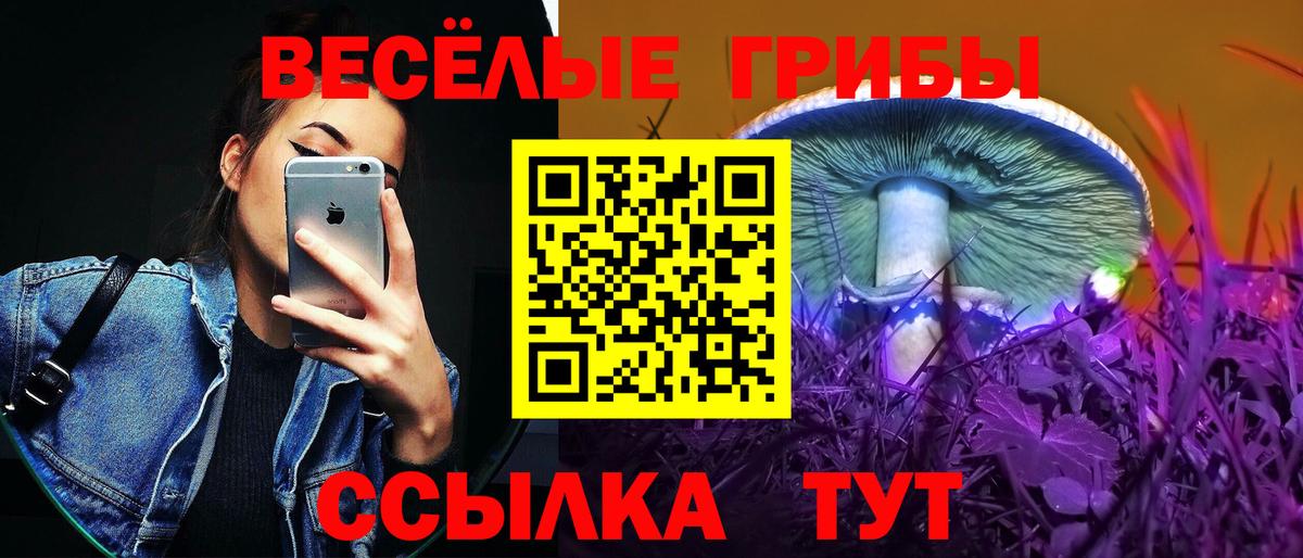 Псилоцибиновые грибы мухоморы Новоалтайск
