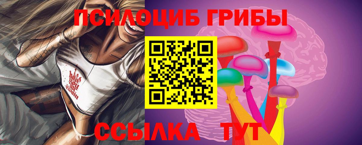 Новоалтайск  Галлюциногенные грибы Cubensis  Вход с VPN 